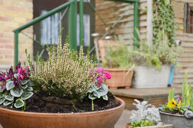 Shoreditch 1 With Garden Londen Kamer foto