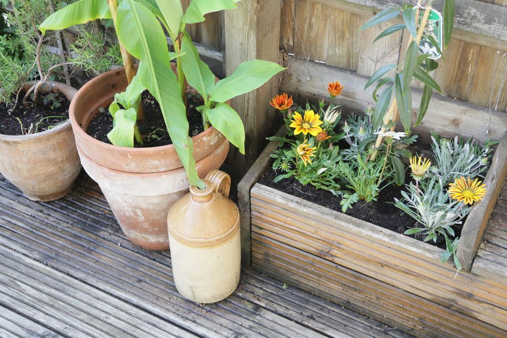 Shoreditch 1 With Garden Londen Kamer foto