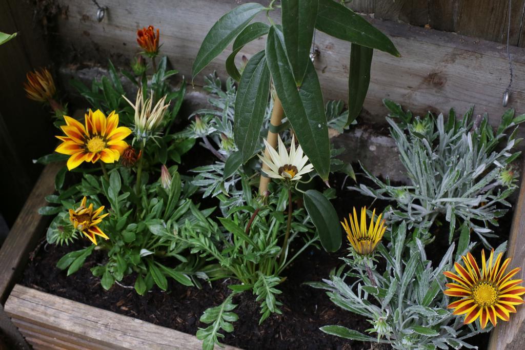 Shoreditch 1 With Garden Londen Kamer foto